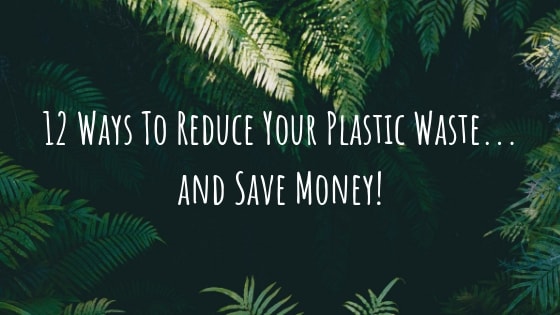 12 Simple Things You Can Do To Reduce Plastic Waste & Save Money