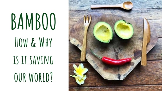 5 Reasons Why Bamboo Is Saving Our World
